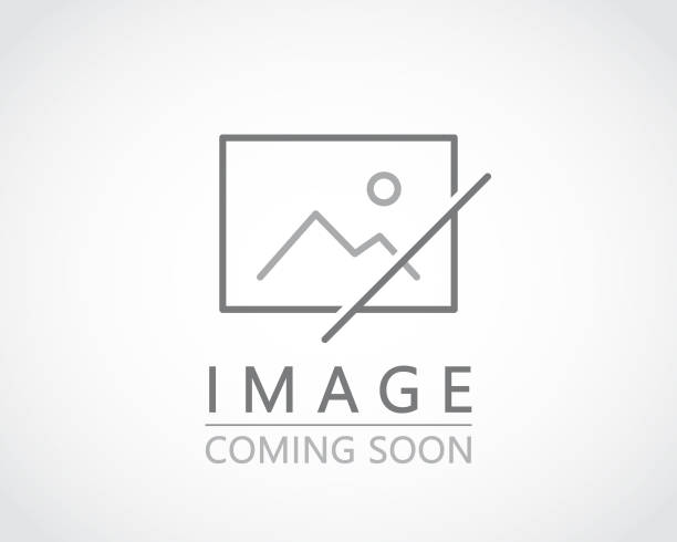 5 BELLVISTA RD  BOSTON, MA 02135 
